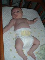 tn_2008_0617Image0017.JPG