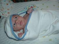 tn_2008_0617Image0021.JPG