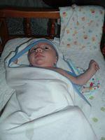 tn_2008_0617Image0022.JPG
