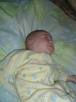 tn_2008_0711Image0034.JPG