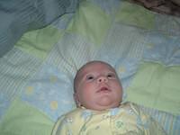 tn_2008_0711Image0035.JPG