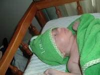 tn_2008_0711Image0040.JPG