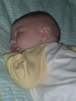 tn_2008_0728Image0001.JPG