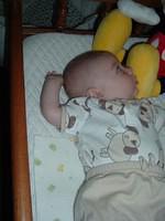 tn_2008_0728Image0002.JPG