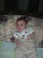 tn_2008_0728Image0004.JPG
