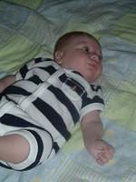 tn_2008_0728Image0013.JPG