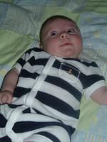 tn_2008_0728Image0014.JPG