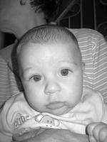 tn_img_0013.jpg