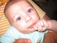 tn_img_0014.jpg