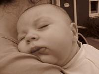 tn_img_0026.jpg