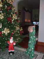 2010_0411Image0018.JPG