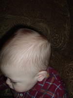 2009_0120Image0051.JPG