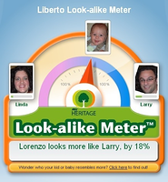 LorenzoLookALikeMeter01.png