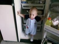 LorenzoLookingForSomeFood.jpg