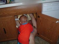Helping daddy fix the sink!