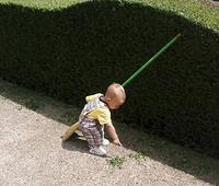 HelpingPapaWithTheHedges