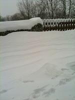 BackPatioMorningAfterStorm02062010.jpg