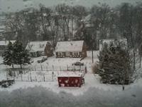 BackyardAtStartofStorm02052010.jpg
