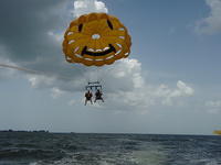 Parisailing2010 004.jpg