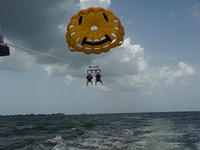 Parisailing2010 005.jpg