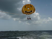 Parisailing2010 008.jpg