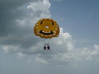 Parisailing2010 015.jpg