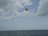 Parisailing2010 021.jpg