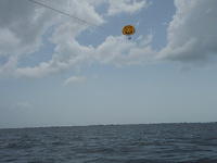 Parisailing2010 025.jpg