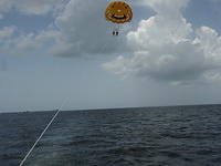 Parisailing2010 029.jpg