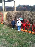 IMG_0619_B.JPG