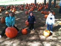 IMG_0621.JPG