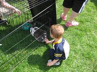 tn_IMG_1508