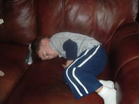 Boo Boo Fast Asleep On "His" Couch 10-18-2011