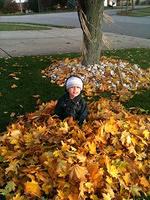 IMG_0058.jpg