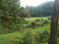 IMG_1294.jpg