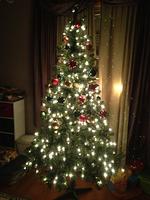 IMG_1036.jpg