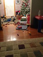 IMG_1078.jpg