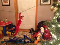 IMG_1176.jpg