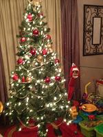 IMG_1178.jpg
