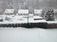 IMG_1262.jpg