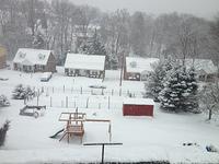 IMG_1264.jpg