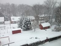 IMG_1265.jpg