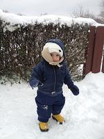 IMG_1279.jpg