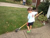 IMG_0505.jpg