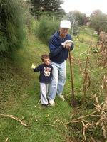 IMG_0552.jpg