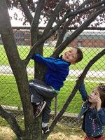 IMG_0823.jpg