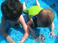IMG_0713.jpg