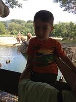 IMG_0400.jpg