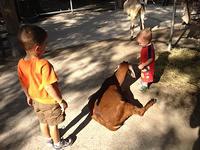 IMG_0411.jpg