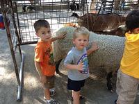IMG_0412.jpg